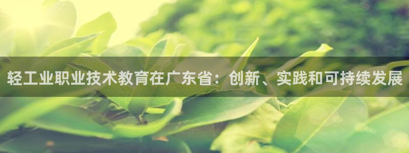 j9电竞官网|轻工业职业技术教育在广东省：创新、实践和可持续发展