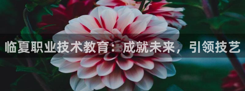 ag8亚洲国际集团j9|临夏职业技术教育：成就未来，引领技艺