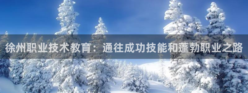J9数字平台|徐州职业技术教育：通往成功技能和蓬勃职业之路
