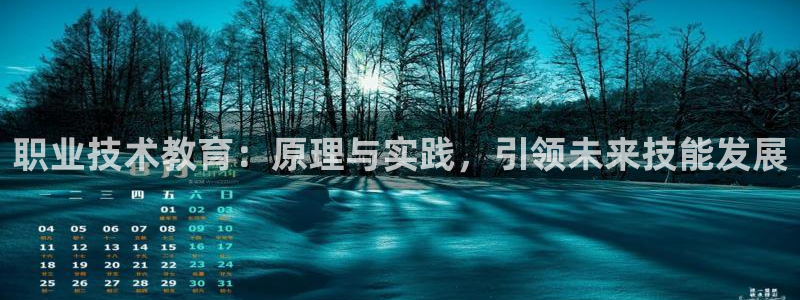 j9九游会真人游戏第一品牌赢|职业技术教育：原理与实践，引领未来技能发展